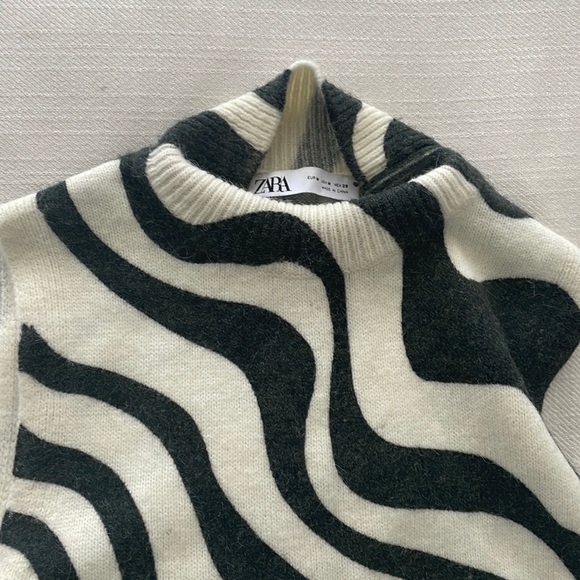 Zara Jacquard Knit Sleeveless Turtleneck Stripe Print - Picture 4 of 4